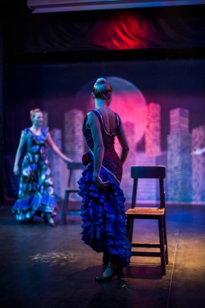 Animasyon Gösterisi